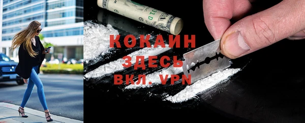 твердый Арсеньев