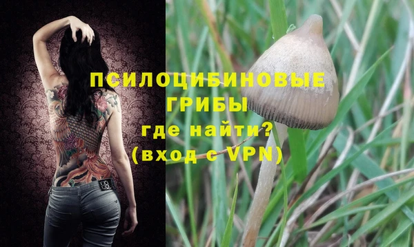 герыч Сатка