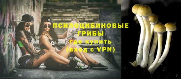 твердый Арсеньев